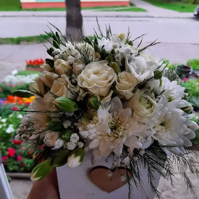 Kwiaciarnia Kalina Ilona Mikoda